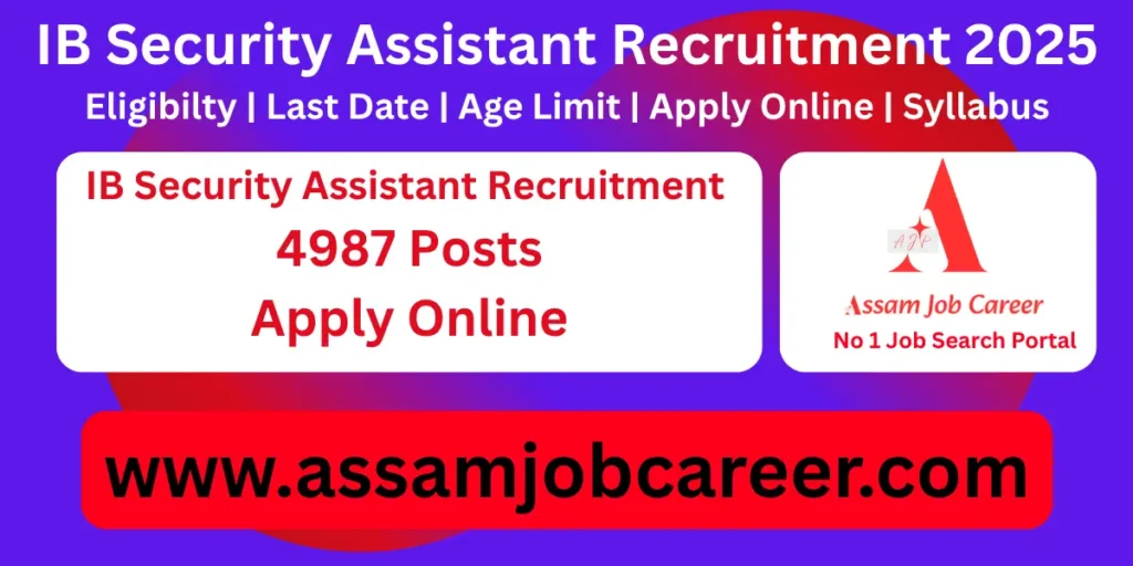 IB Security Assistant
