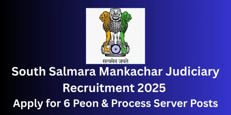 South Salmara Mankachar Judiciary