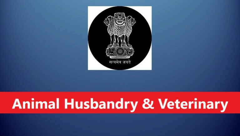 6a70b3fa928721785771002animal husbandry veterinary recruitment