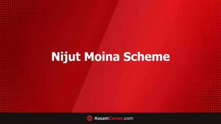 6a78ce3542e471786302005nijut moina scheme