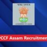 6aa9728a662d61789489802pccf assam